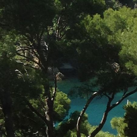 Bed and Breakfast Les Terrasses Des Anthenors Ensues-la-Redonne Exterior foto