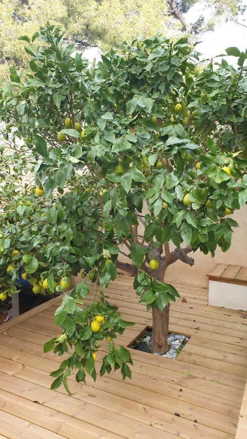 Bed and Breakfast Les Terrasses Des Anthenors Ensues-la-Redonne Exterior foto